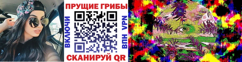 Галлюциногенные грибы Magic Shrooms  Георгиевск 
