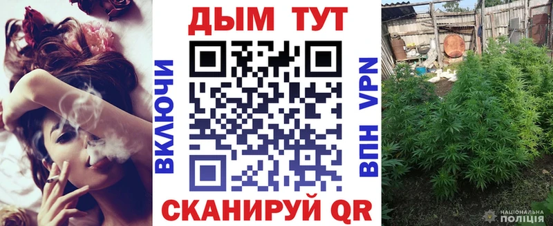 MEGA рабочий сайт  купить наркоту  Георгиевск  Каннабис MAZAR 